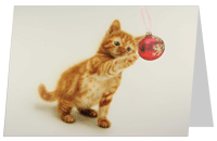 Pack of 10 Airbrush Charity Christmas Cards (A6 size): 'Kitten with Bauble' by Alexander Medwell (100% of profit £1.22 donated to Cancer Research)
