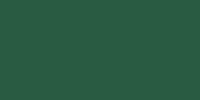 LifeColor Medium Green 42 (22ml) FS 34092