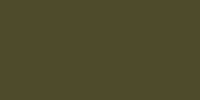 Lifecolor Satin RAF Dark Green FS 34079 (22ml)