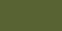 Lifecolor Satin RAF Light Green FS 34102 (22ml)