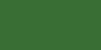 LifeColor Semtex Green (22ml)